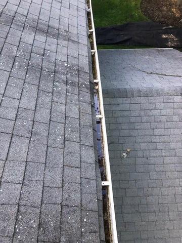 Old Roof Edging and Gutter
